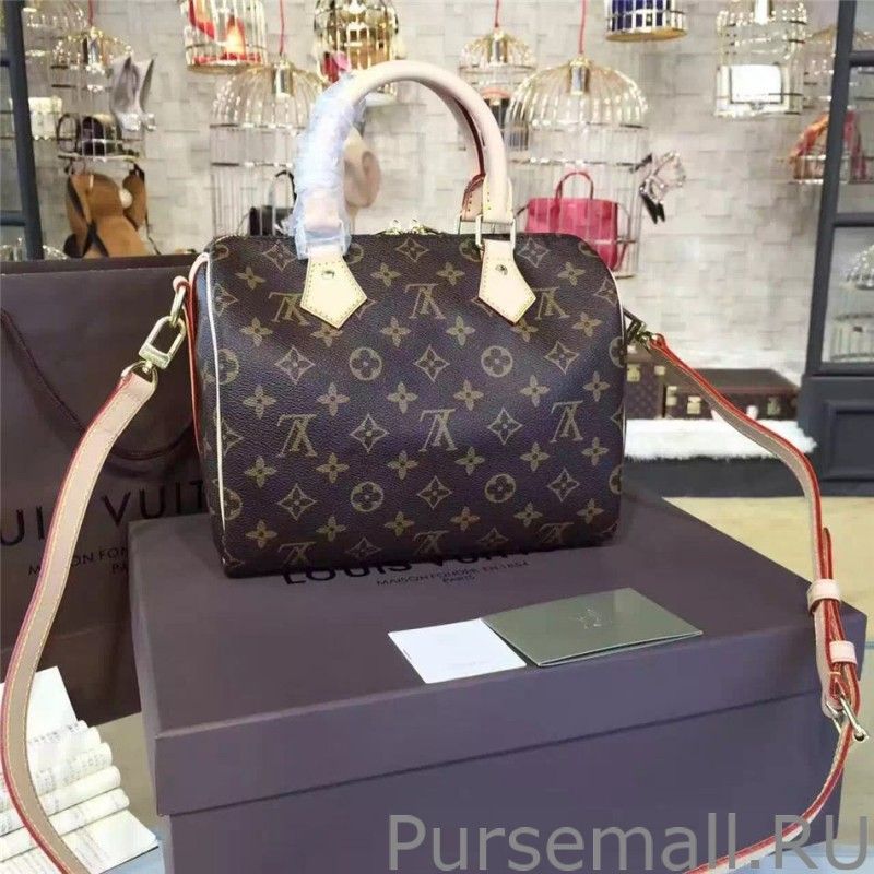 Nano Speedy Monogram Canvas M62208