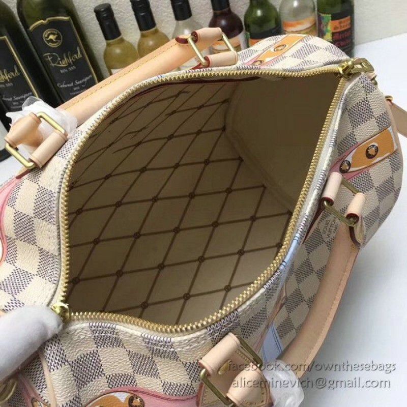 Speedy 30 Damier Azur Canvas N41063