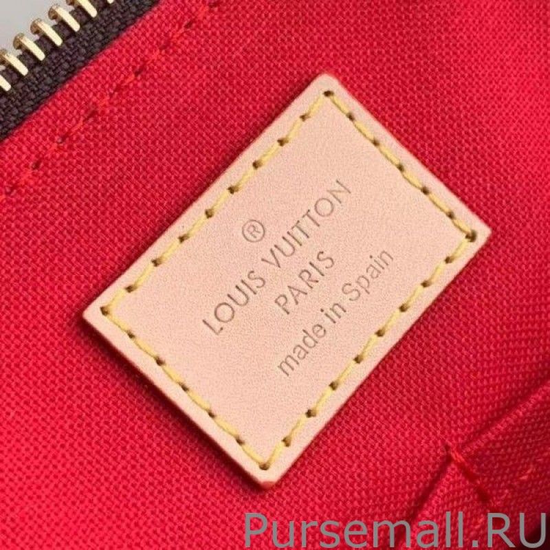 Petit Palais Bag Monogram Canvas M45900