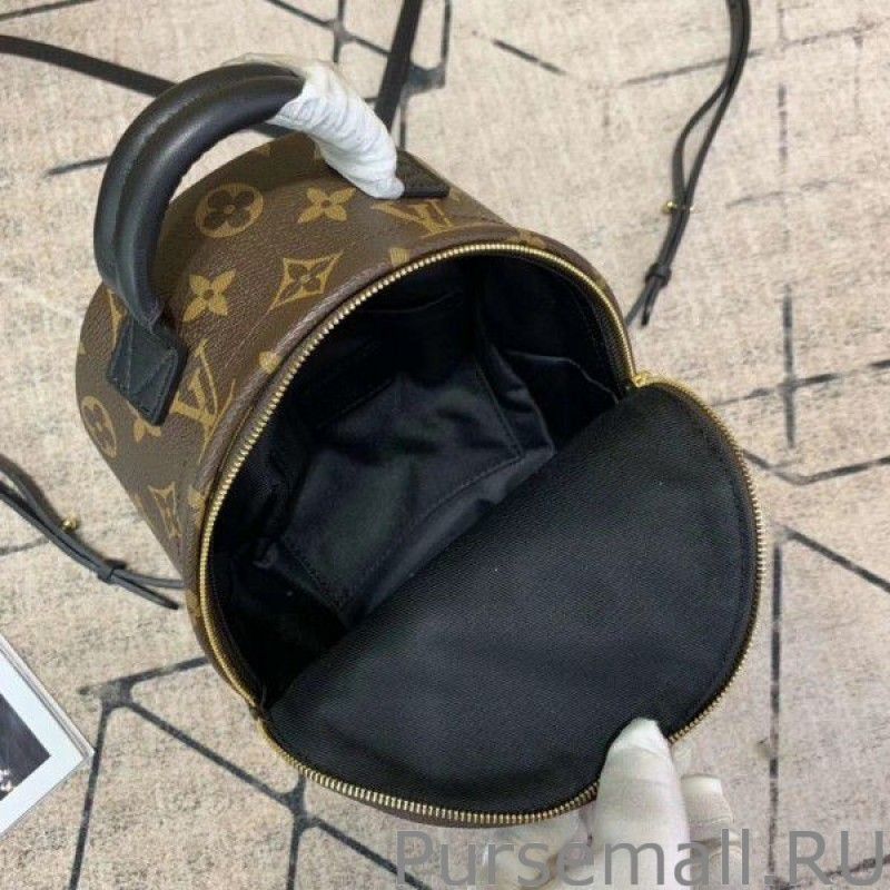 Mini Palm Springs Backpack M44873