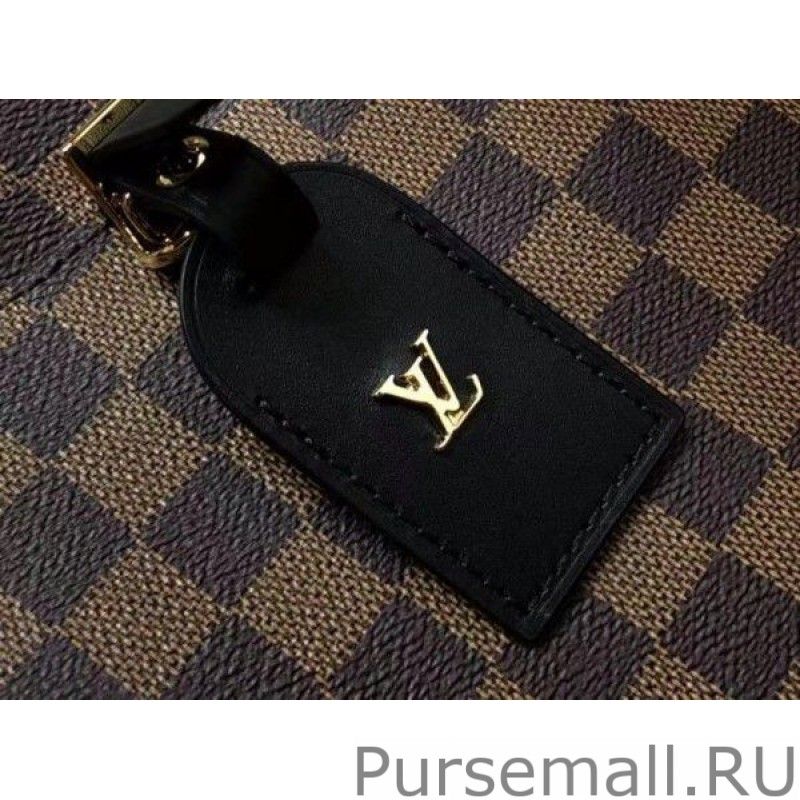 Odeon PM Bag Damier Ebene N50064