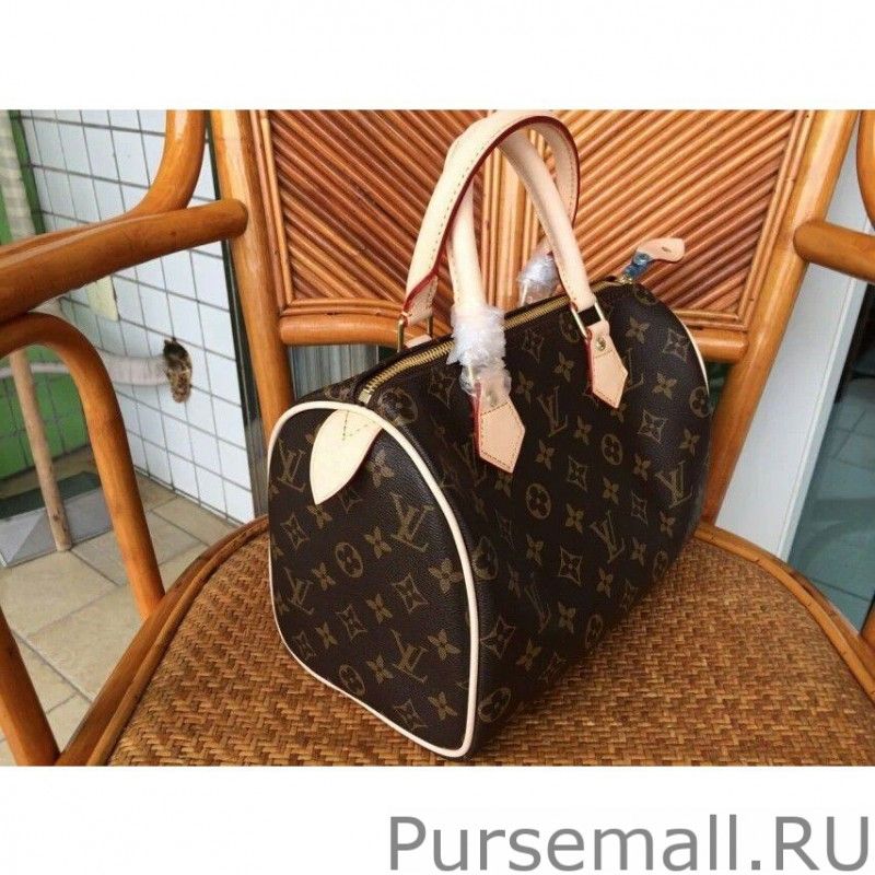 Speedy 25 Monogram Canvas M41528