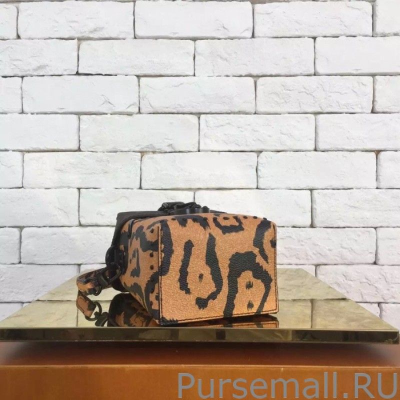 Camera Box Monogram Printed Bag M43001