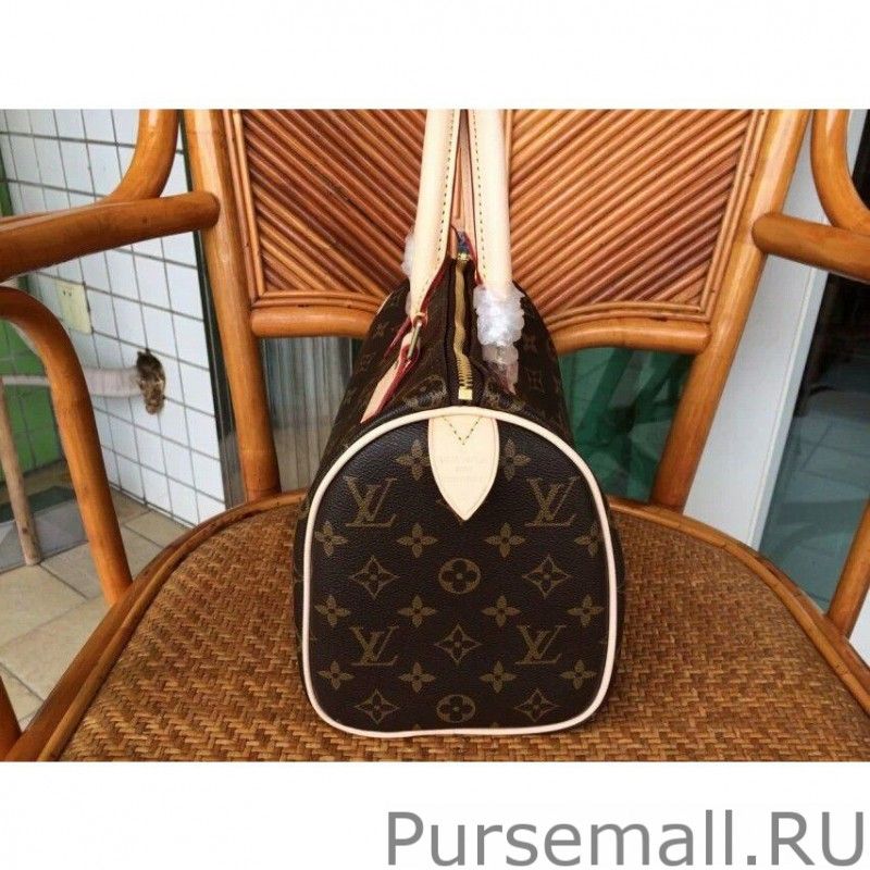 Speedy 25 Monogram Canvas M41528