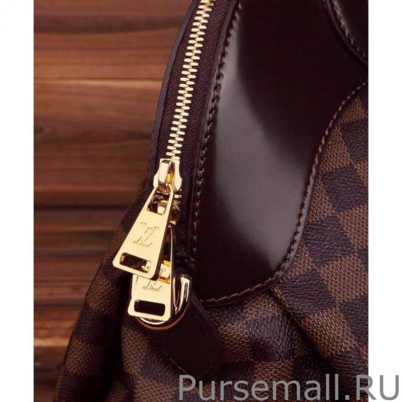 Sali Damier Ebene Canvas N41399