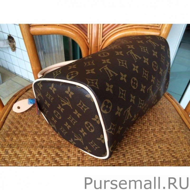 Speedy 25 Monogram Canvas M41528