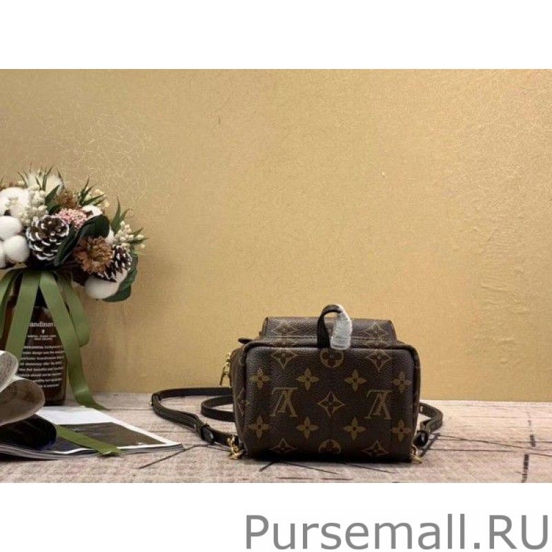 Mini Palm Springs Backpack M44873