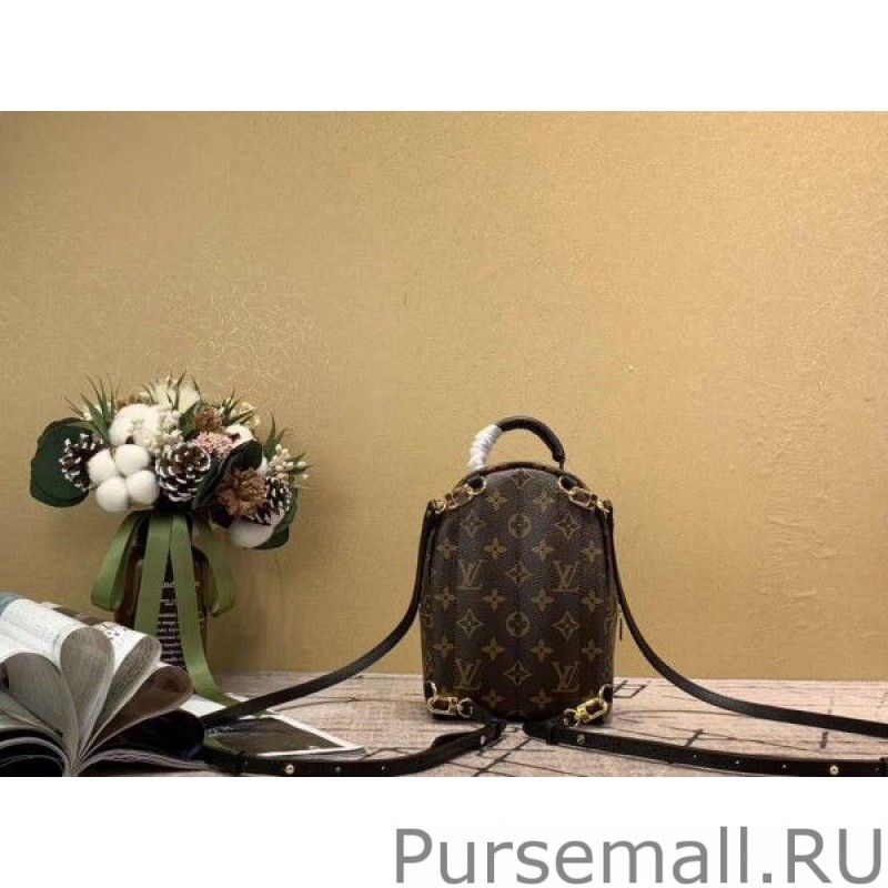 Mini Palm Springs Backpack M44873