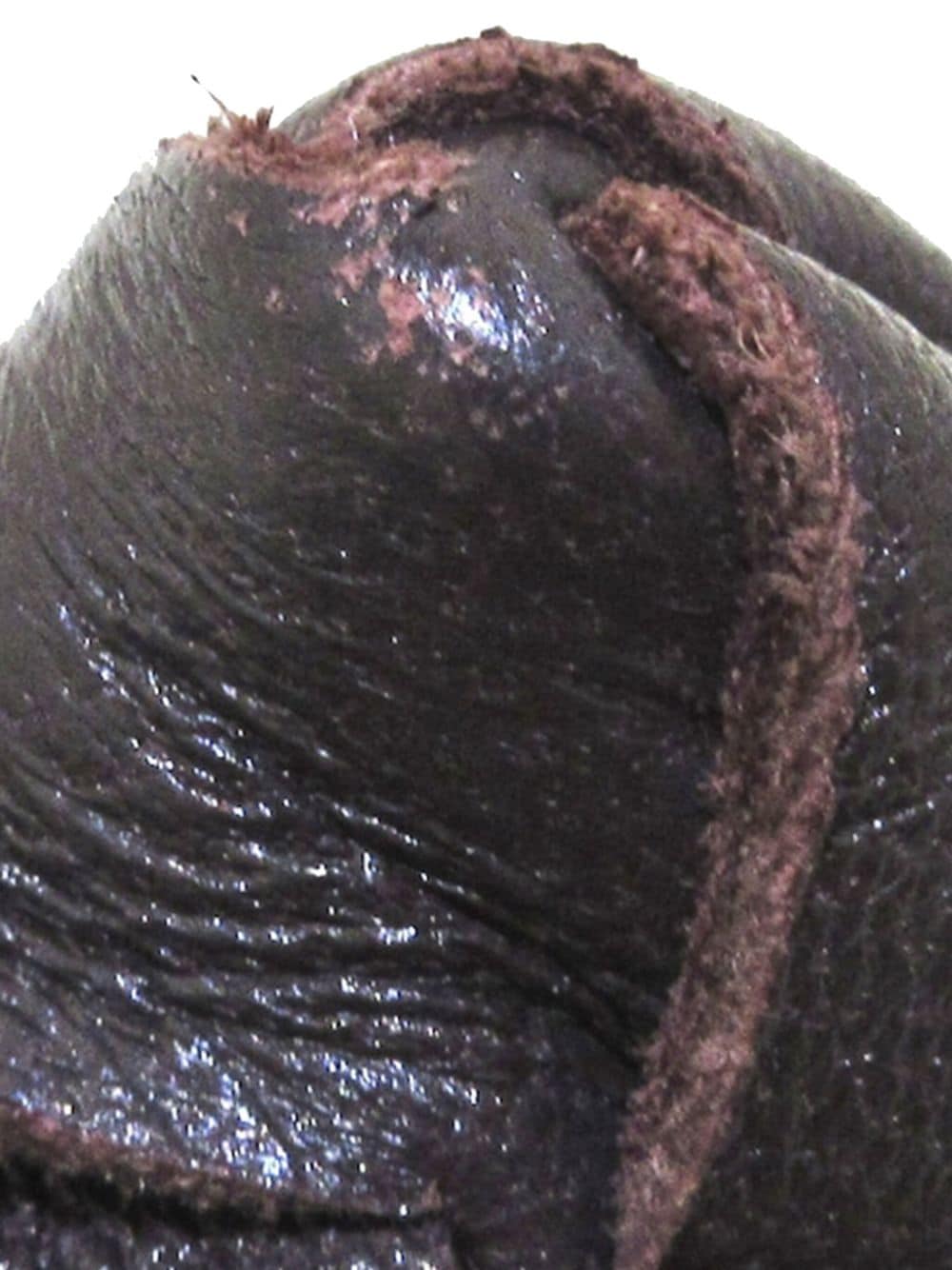 Bo*te*ga ve*ne*ta intrecciato twist clutch bag