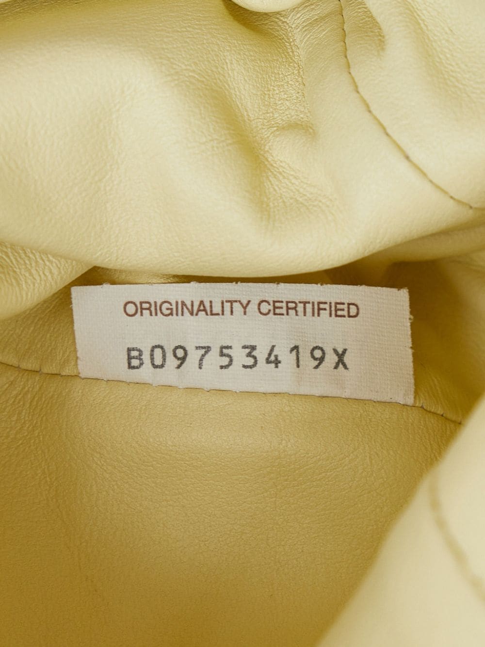 Bo*te*ga ve*ne*ta the mini pouch bag